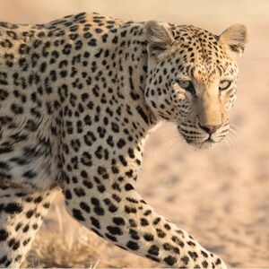 Meet your Posher, Kaitlyn